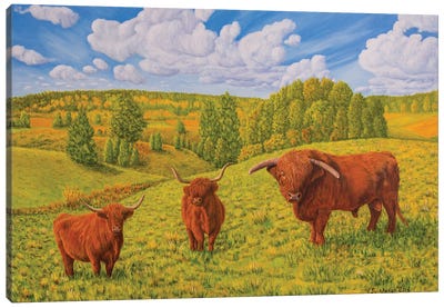 Highland Cattle Pasture Canvas Art Print - Veikko Suikkanen