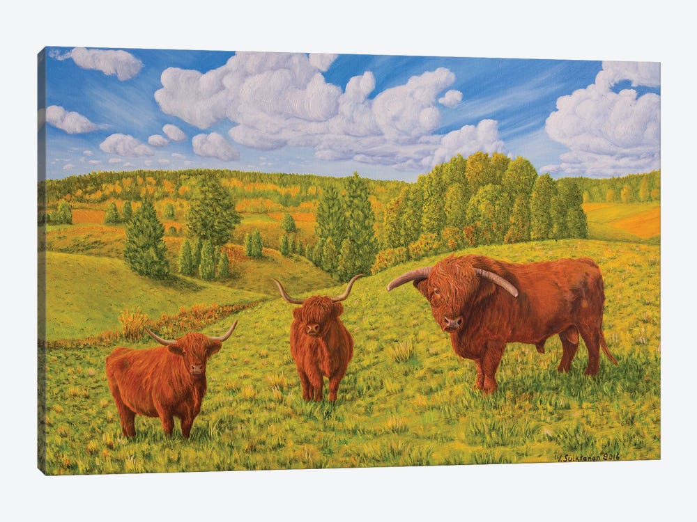Highland Cattle Pasture by Veikko Suikkanen 1-piece Canvas Art