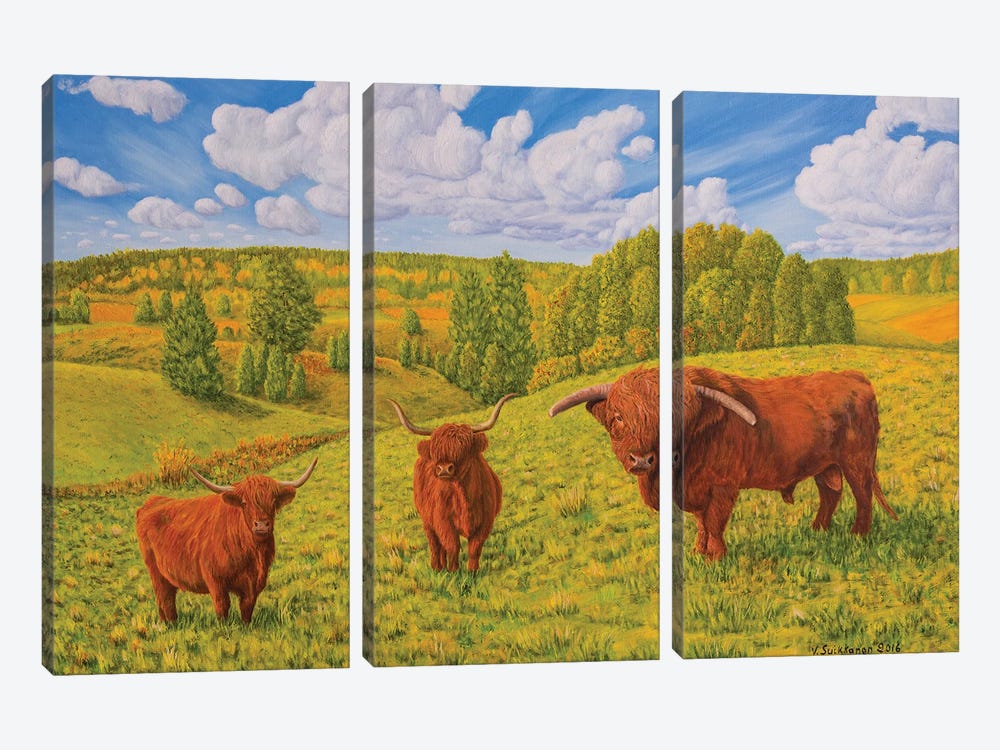 Highland Cattle Pasture by Veikko Suikkanen 3-piece Canvas Art