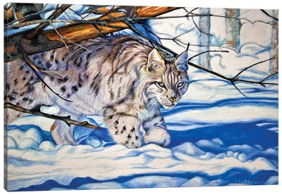 Quiet Walker Canvas Art Print - Lynx