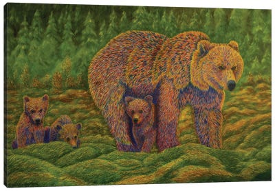 The Bear Family Canvas Art Print - Brown Bear Art
