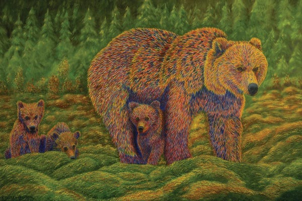 Veikko Suikkanen: The Bear Family by Veikko Suikkanen
