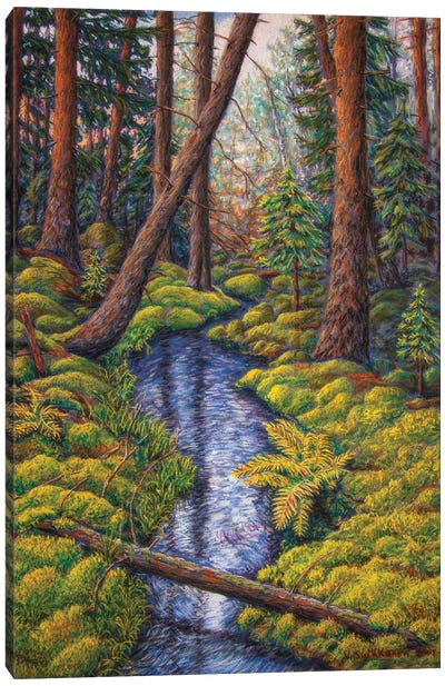 Forest Creek Canvas Art Print - Veikko Suikkanen
