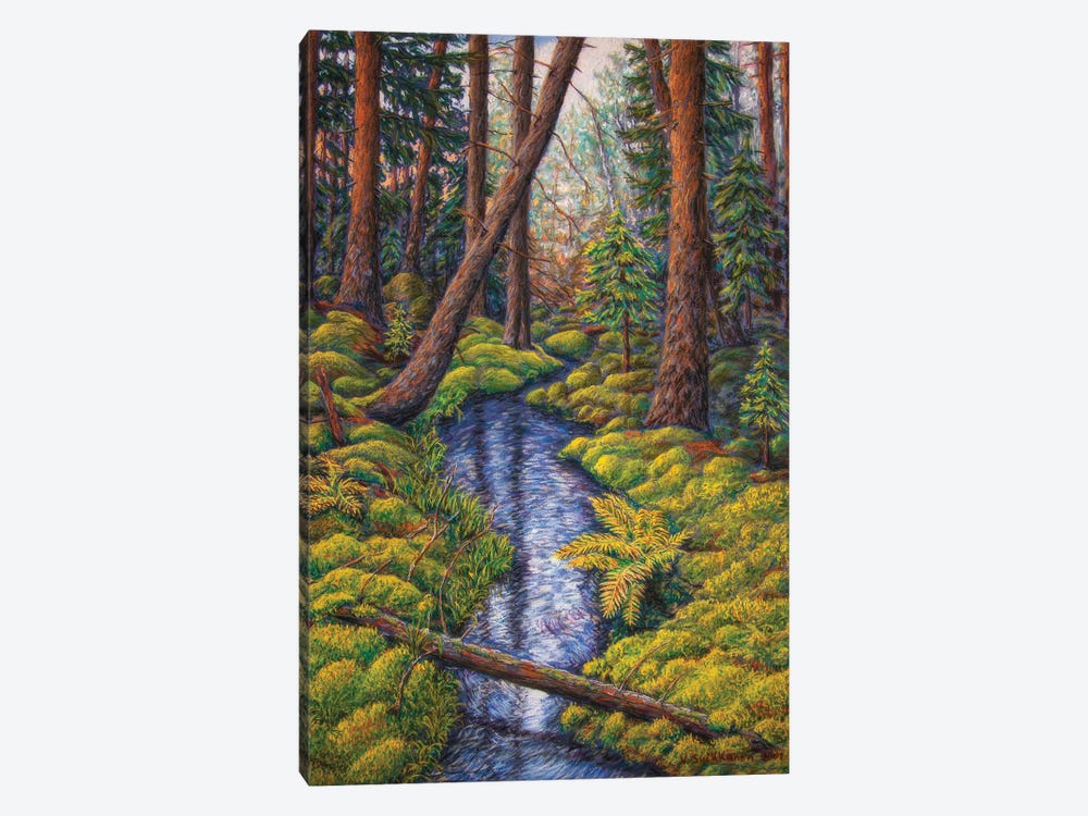 Forest Creek by Veikko Suikkanen 1-piece Canvas Artwork