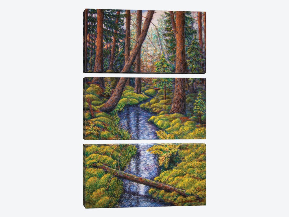 Forest Creek by Veikko Suikkanen 3-piece Canvas Artwork