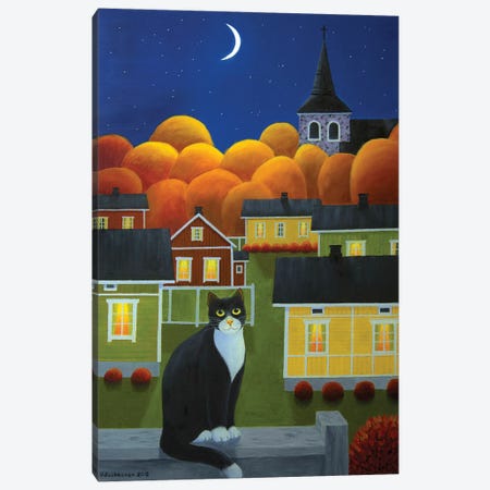 Moonlight Night Canvas Print #VKK54} by Veikko Suikkanen Canvas Print