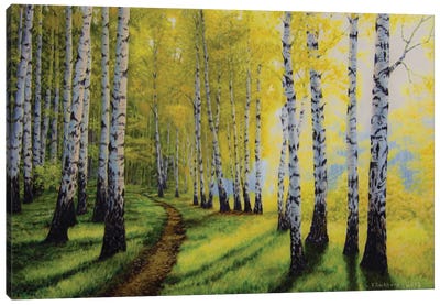 Path To Autumn Canvas Art Print - Veikko Suikkanen