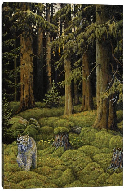 Wilderness Canvas Art Print - Veikko Suikkanen