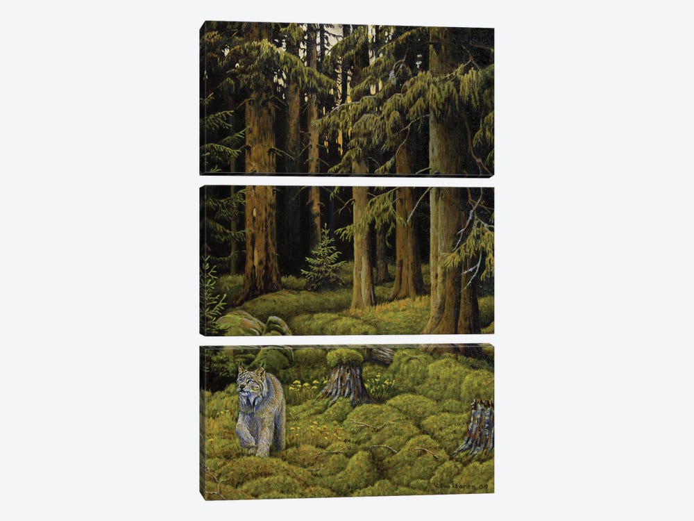Wilderness by Veikko Suikkanen 3-piece Canvas Art