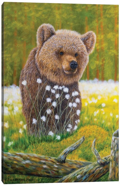 Young Bear Canvas Art Print - Brown Bear Art