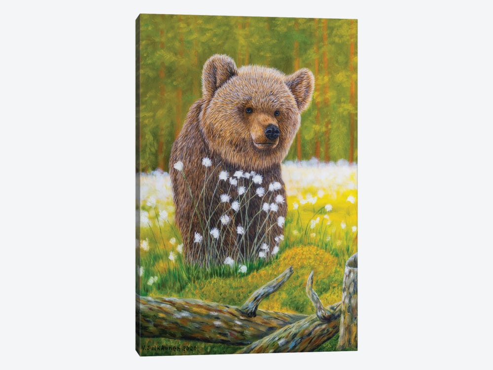 Young Bear by Veikko Suikkanen 1-piece Canvas Artwork