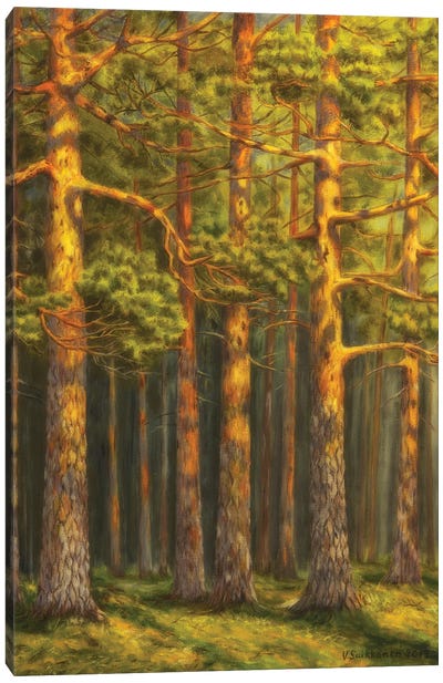Pinewood Canvas Art Print - Pine Tree Art
