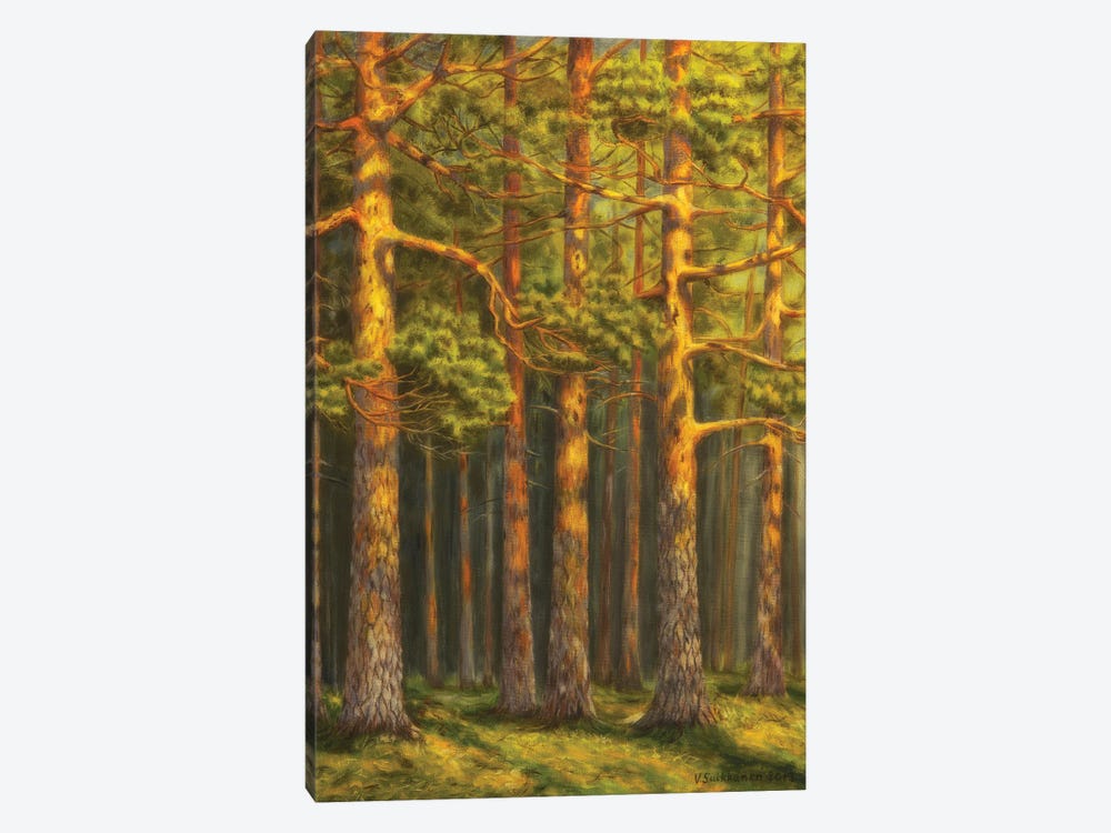 Pinewood by Veikko Suikkanen 1-piece Canvas Print