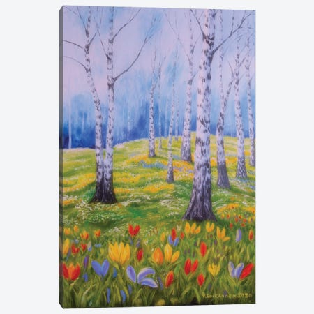 Spring In Birch Canvas Print #VKK63} by Veikko Suikkanen Art Print