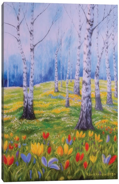 Spring In Birch Canvas Art Print - Veikko Suikkanen
