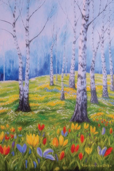 Birch Trees: Spring In Birch by Veikko Suikkanen