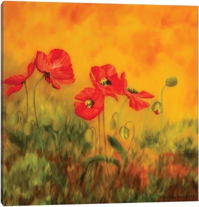 Red Poppies Canvas Art Print - Veikko Suikkanen
