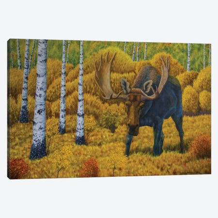 Bull Moose Canvas Print #VKK66} by Veikko Suikkanen Canvas Artwork