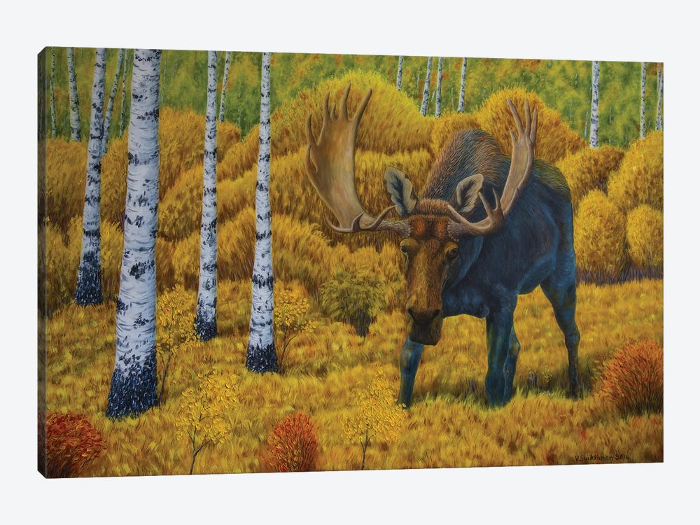 Bull Moose by Veikko Suikkanen 1-piece Canvas Print