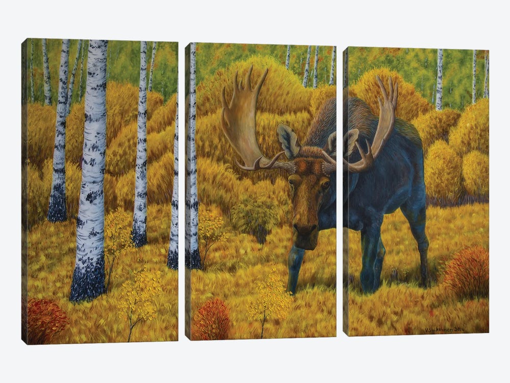 Bull Moose by Veikko Suikkanen 3-piece Canvas Art Print