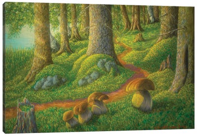 Mushroom Forest Canvas Art Print - Veikko Suikkanen