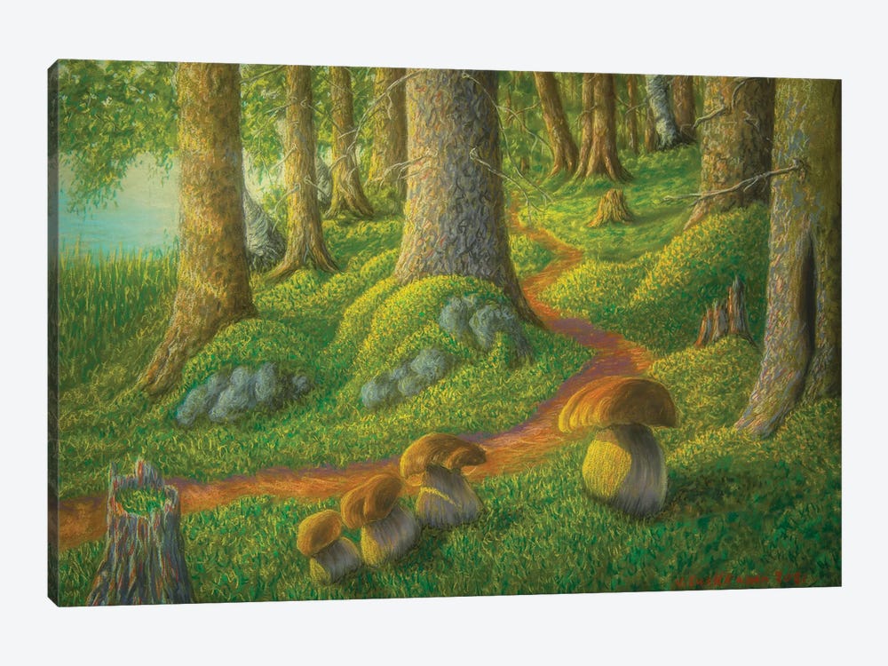 Mushroom Forest by Veikko Suikkanen 1-piece Canvas Art Print