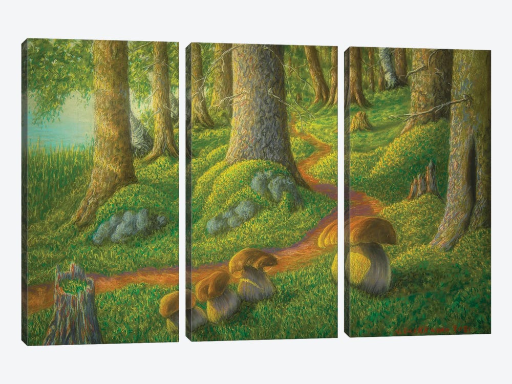 Mushroom Forest by Veikko Suikkanen 3-piece Art Print