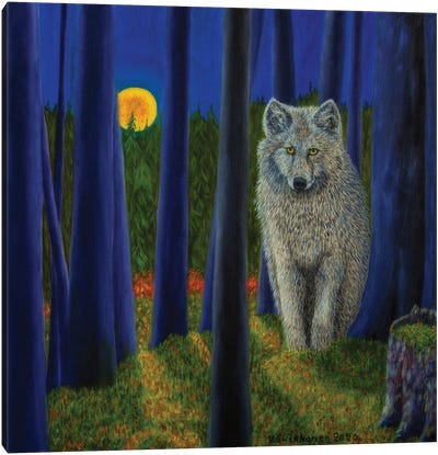 In The Moonlight II Canvas Art Print - Veikko Suikkanen