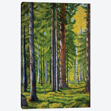Forest Canvas Print #VKK6} by Veikko Suikkanen Canvas Art Print