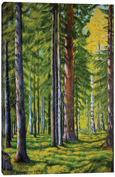 Forest Canvas Art Print - Veikko Suikkanen