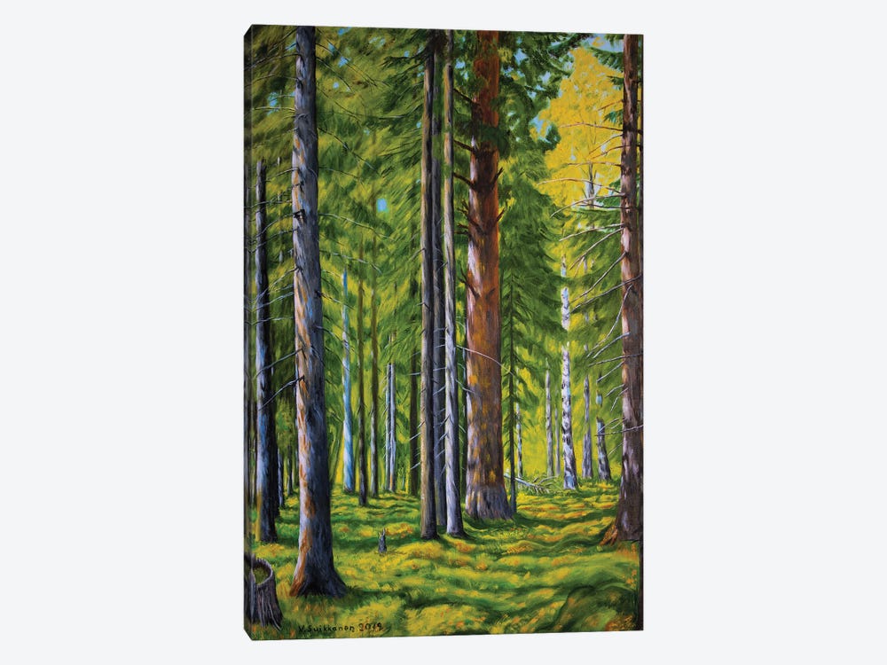 Forest by Veikko Suikkanen 1-piece Canvas Print