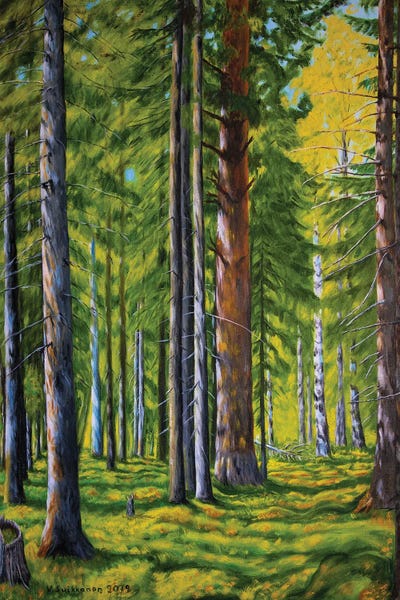 Veikko Suikkanen: Forest by Veikko Suikkanen