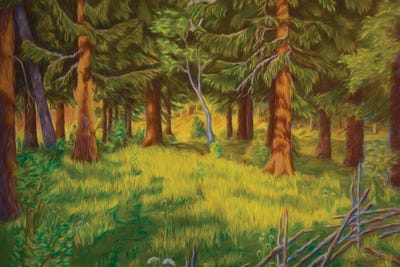 Light Play by Veikko Suikkanen canvas print