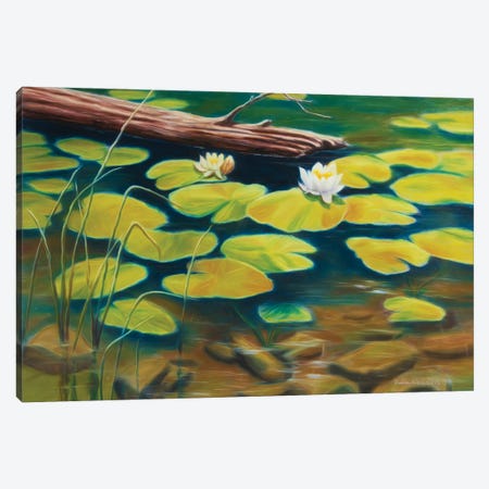 Water Lilies Canvas Print #VKK72} by Veikko Suikkanen Canvas Art