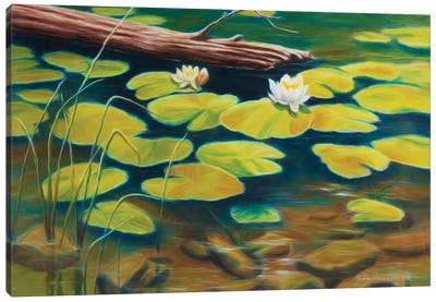 Water Lilies Canvas Art Print - Veikko Suikkanen