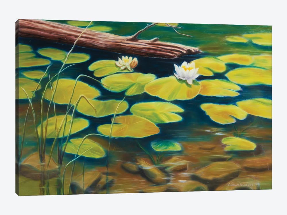 Water Lilies by Veikko Suikkanen 1-piece Canvas Art