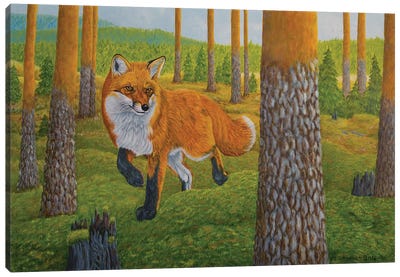Fox Canvas Art Print - Veikko Suikkanen