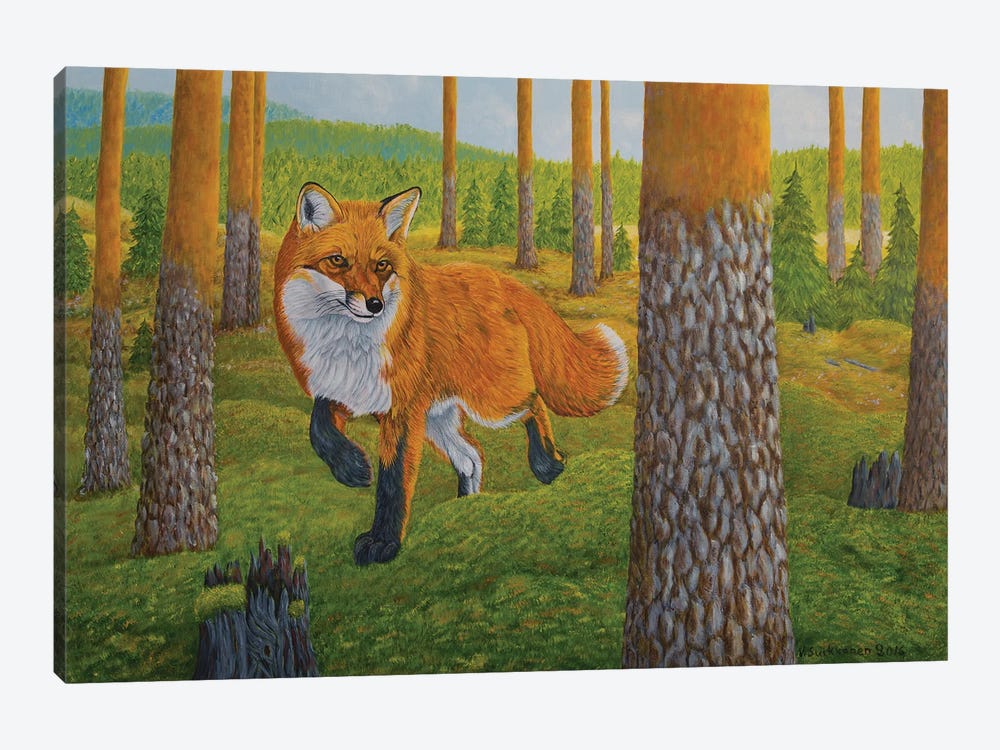 Fox by Veikko Suikkanen 1-piece Canvas Art