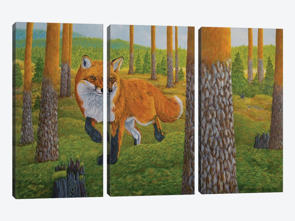 Fox by Veikko Suikkanen 3-piece Canvas Wall Art
