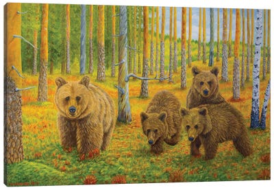 Bear Family Canvas Art Print - Brown Bear Art