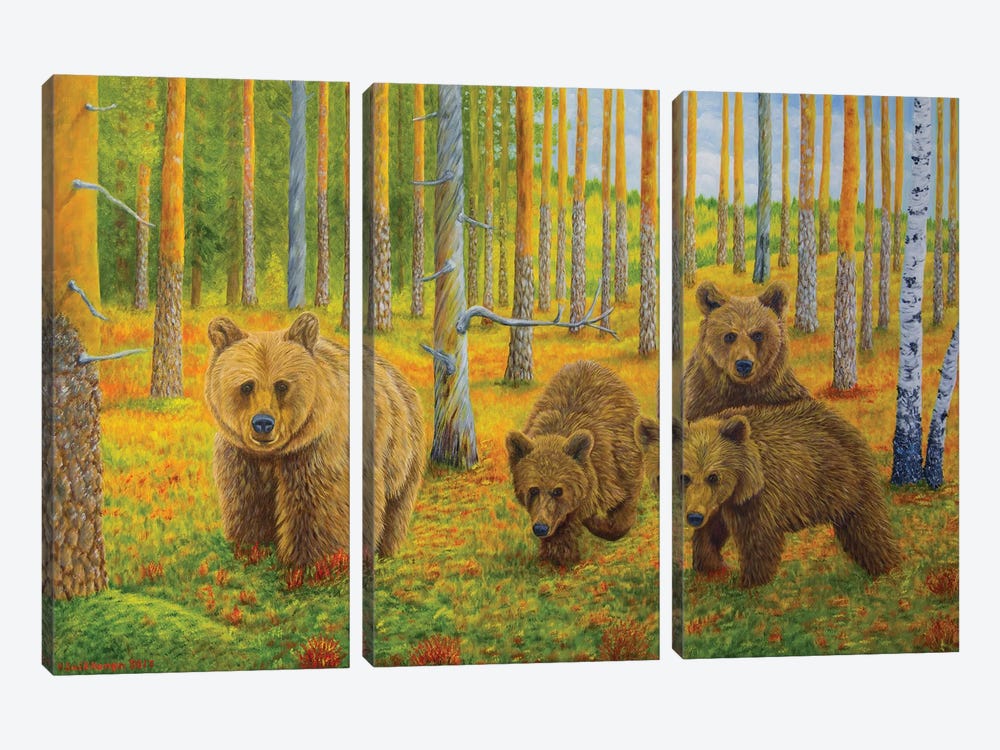 Bear Family by Veikko Suikkanen 3-piece Canvas Print