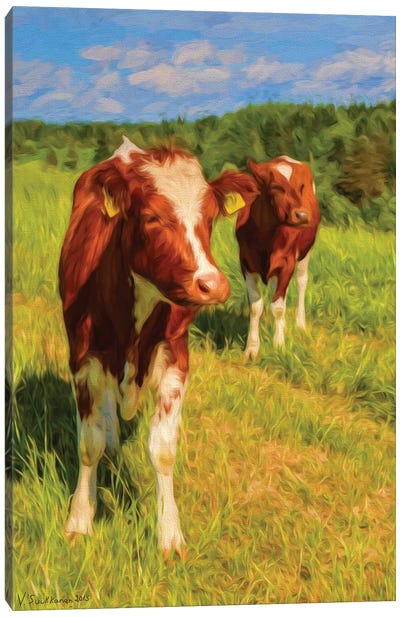 Young Cows Canvas Art Print - Veikko Suikkanen