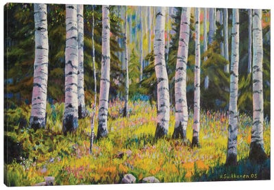 Birch Grove Canvas Art Print - Veikko Suikkanen