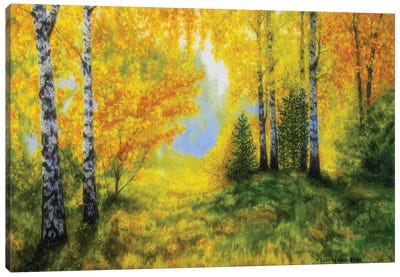 Sunny Forest Canvas Art Print - Veikko Suikkanen