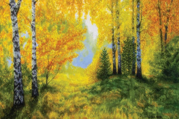 Veikko Suikkanen: Sunny Forest by Veikko Suikkanen