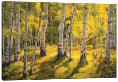 Sunny Birch Canvas Art Print - Veikko Suikkanen