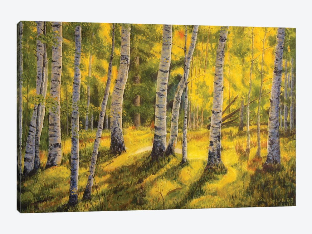 Sunny Birch by Veikko Suikkanen 1-piece Art Print