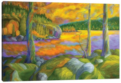 A Magical Wilderness Canvas Art Print - Veikko Suikkanen