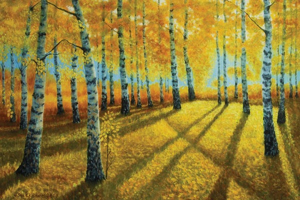 Birch Trees: Autumn Light by Veikko Suikkanen