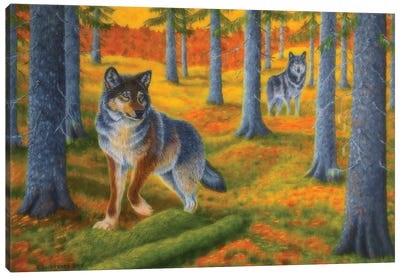 Wolves Forest Canvas Art Print - Veikko Suikkanen